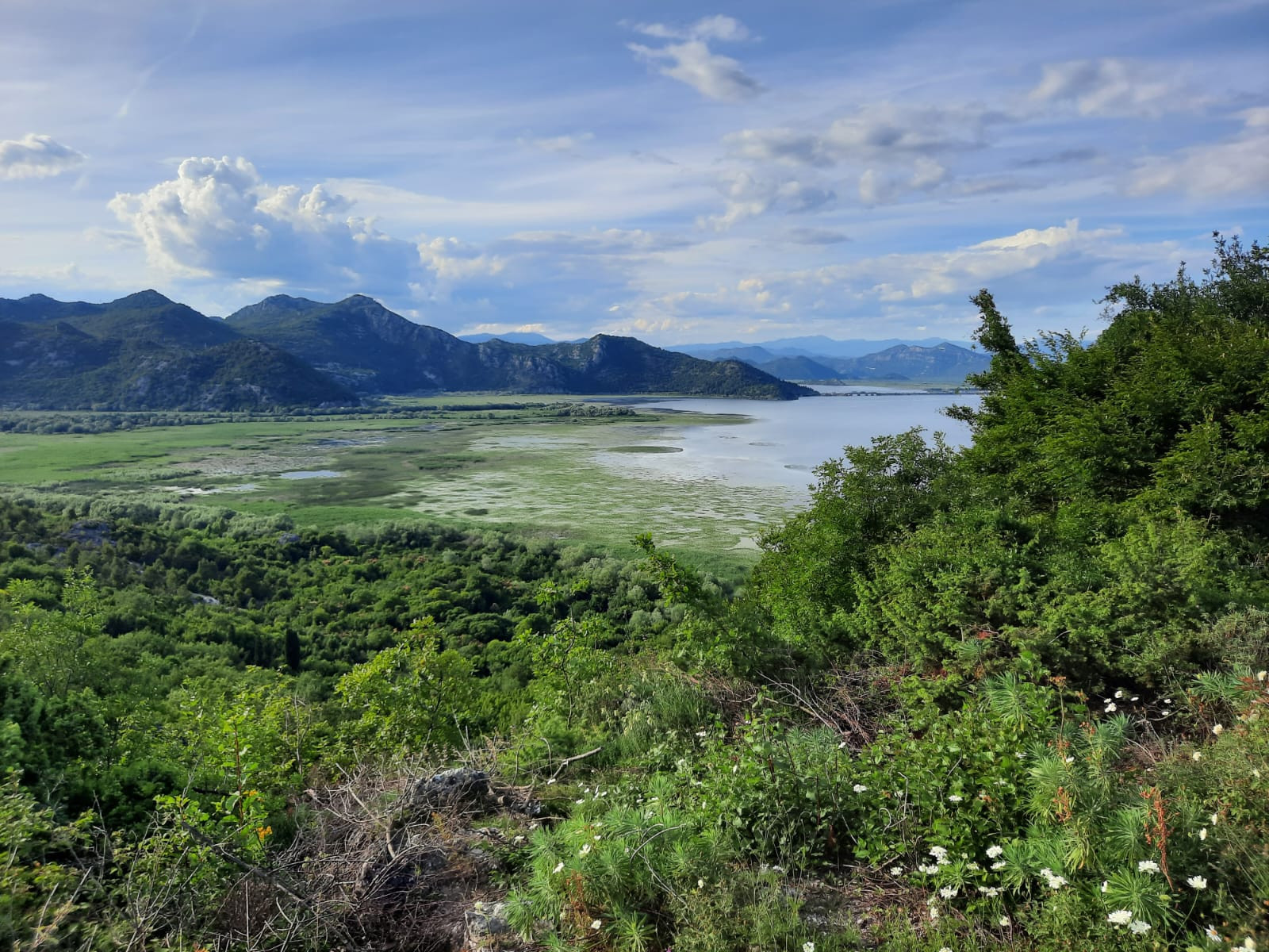 Faunareise Montenegro – Natur und Kleintierwelt