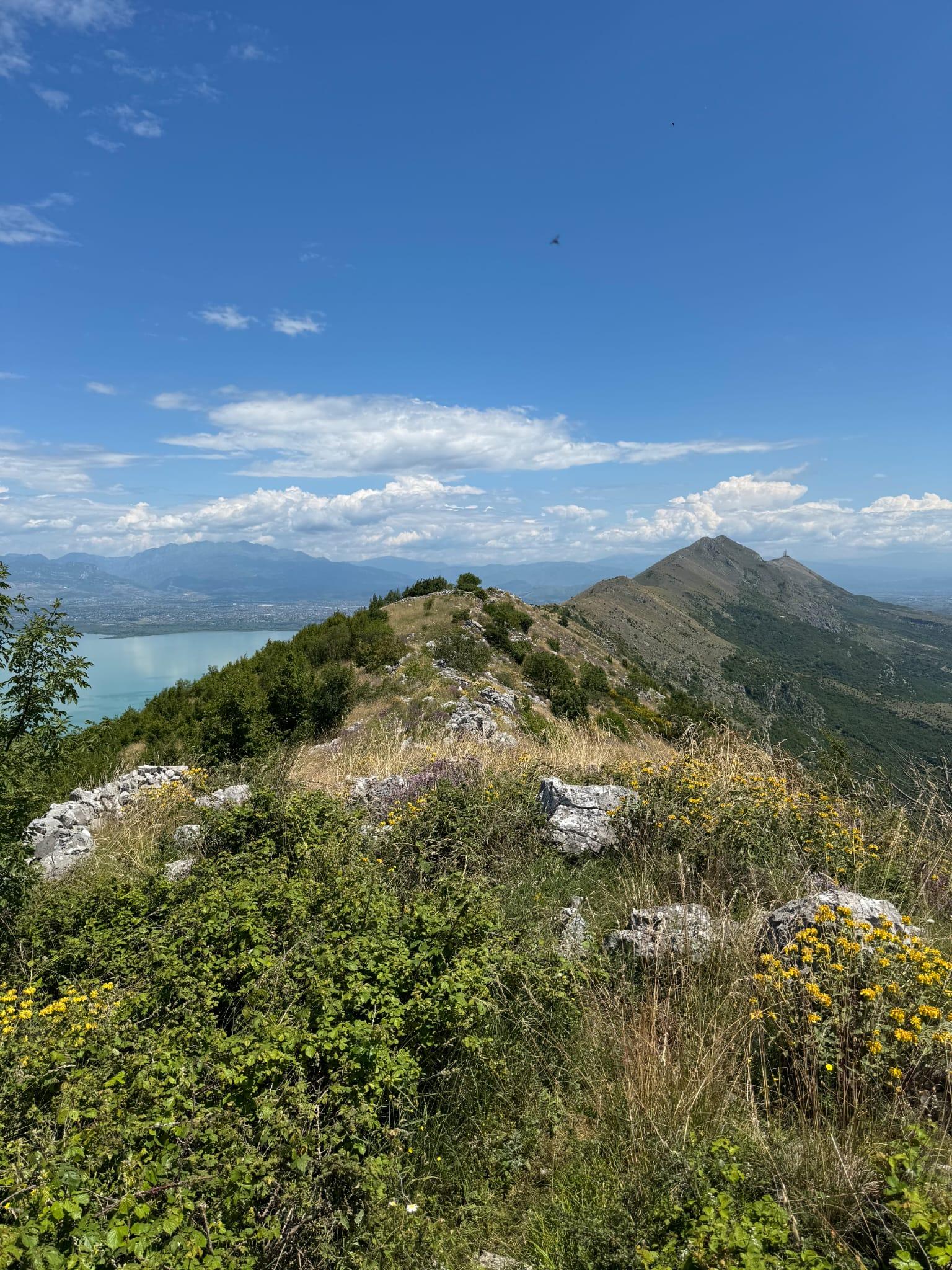 Faunareise Montenegro – Überblick