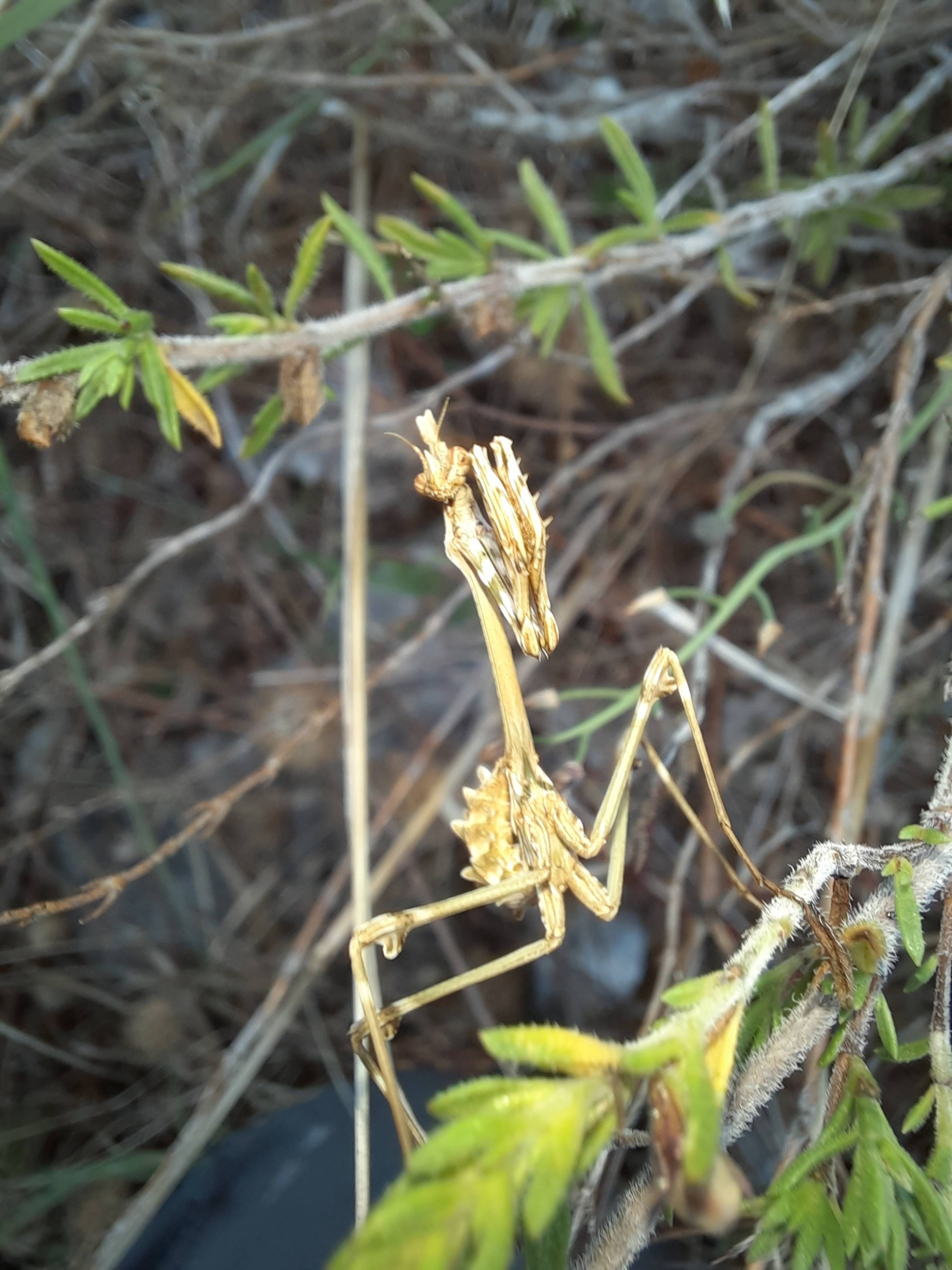 Faunareise Montenegro Impression 10