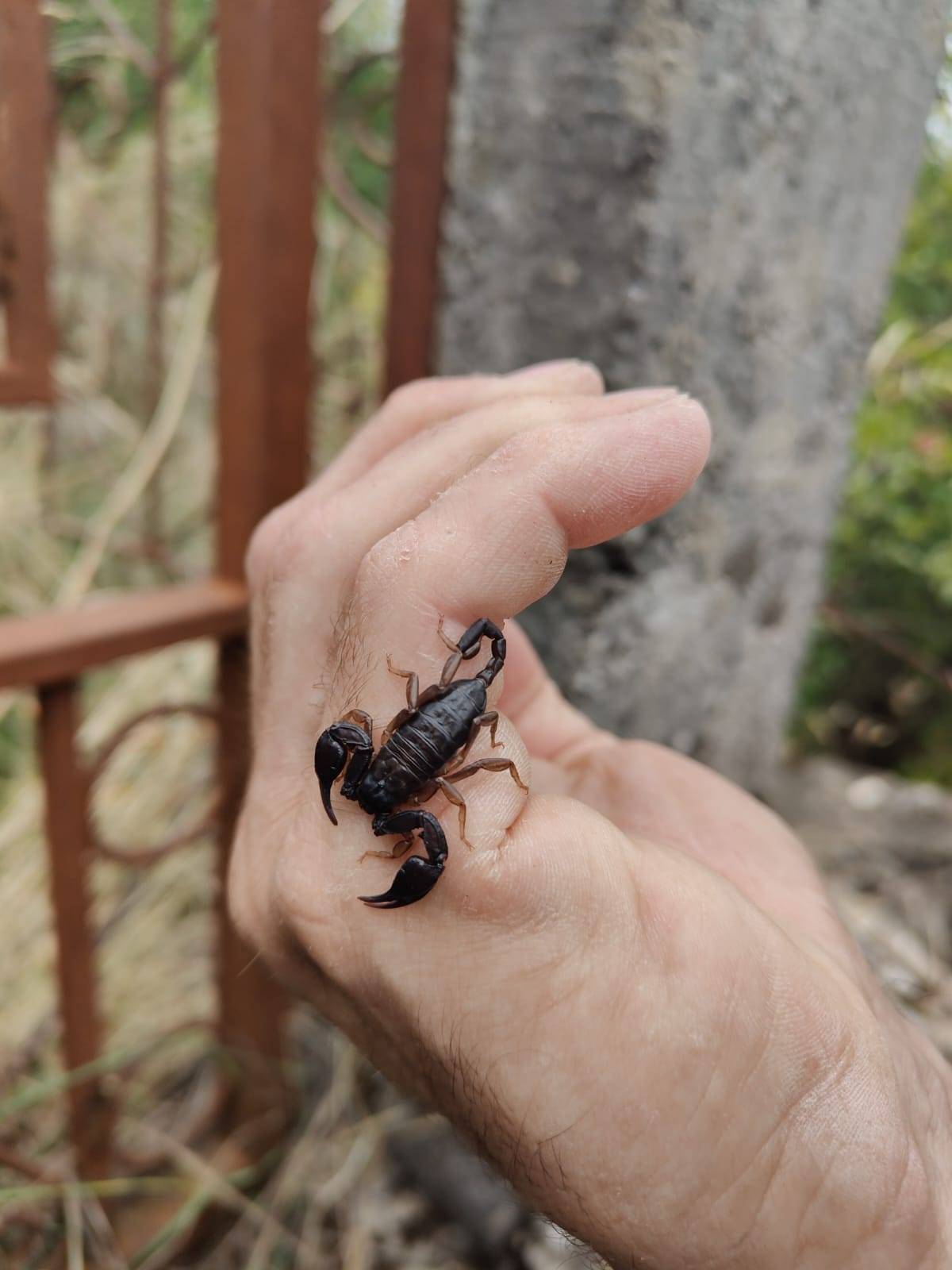 Faunareise Montenegro Impression 14