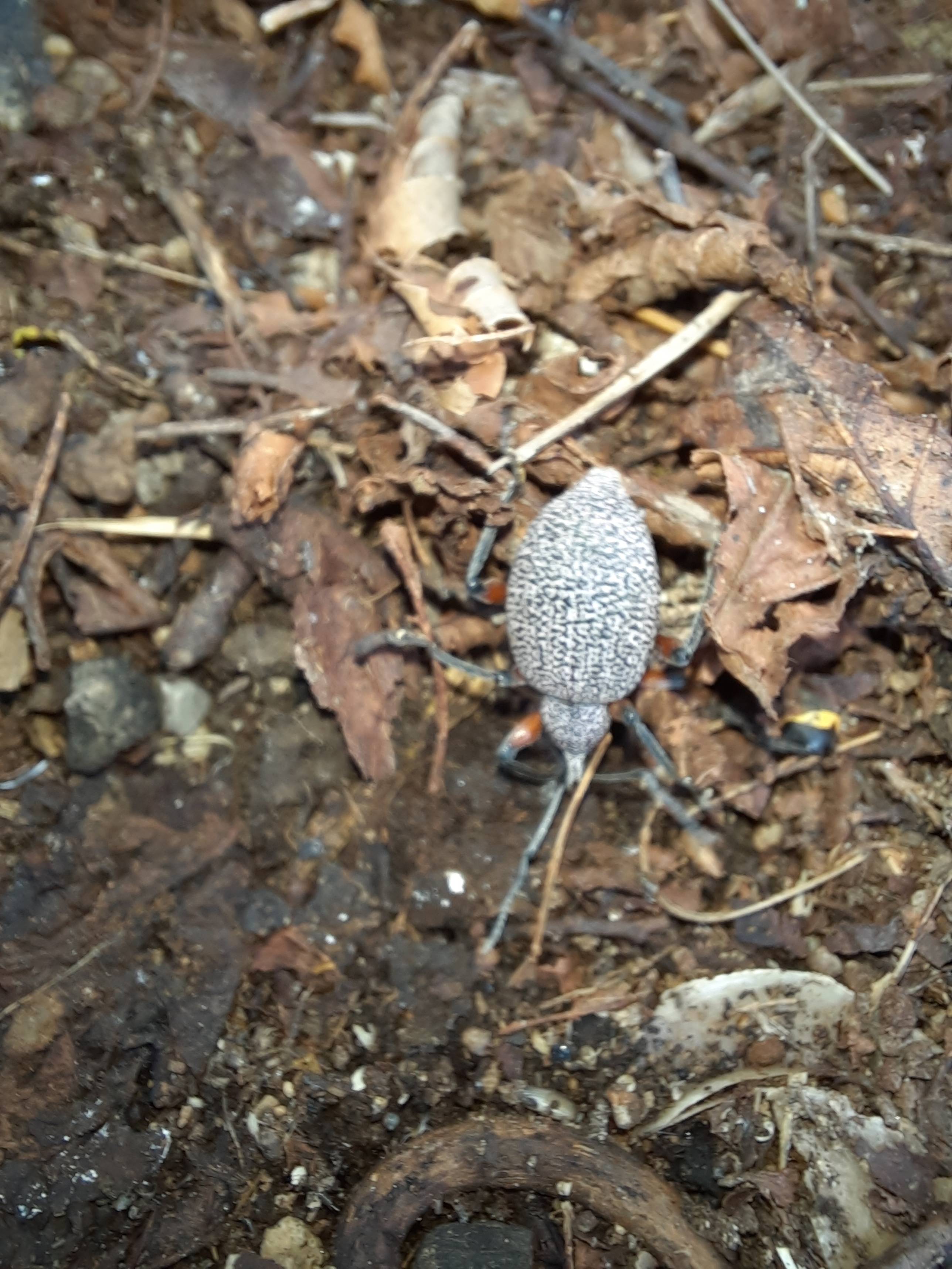 Faunareise Montenegro Impression 18