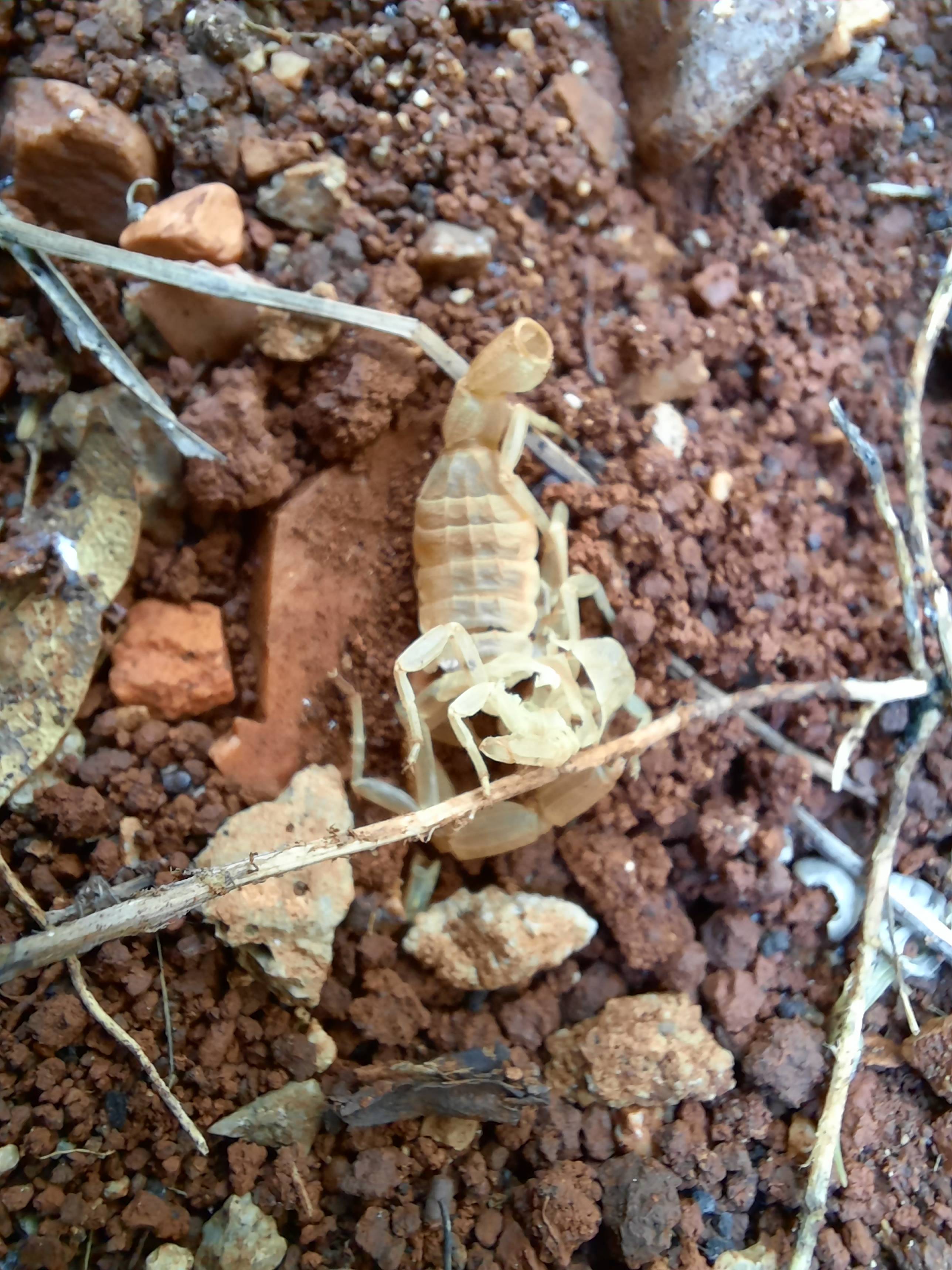 Faunareise Montenegro Impression 19