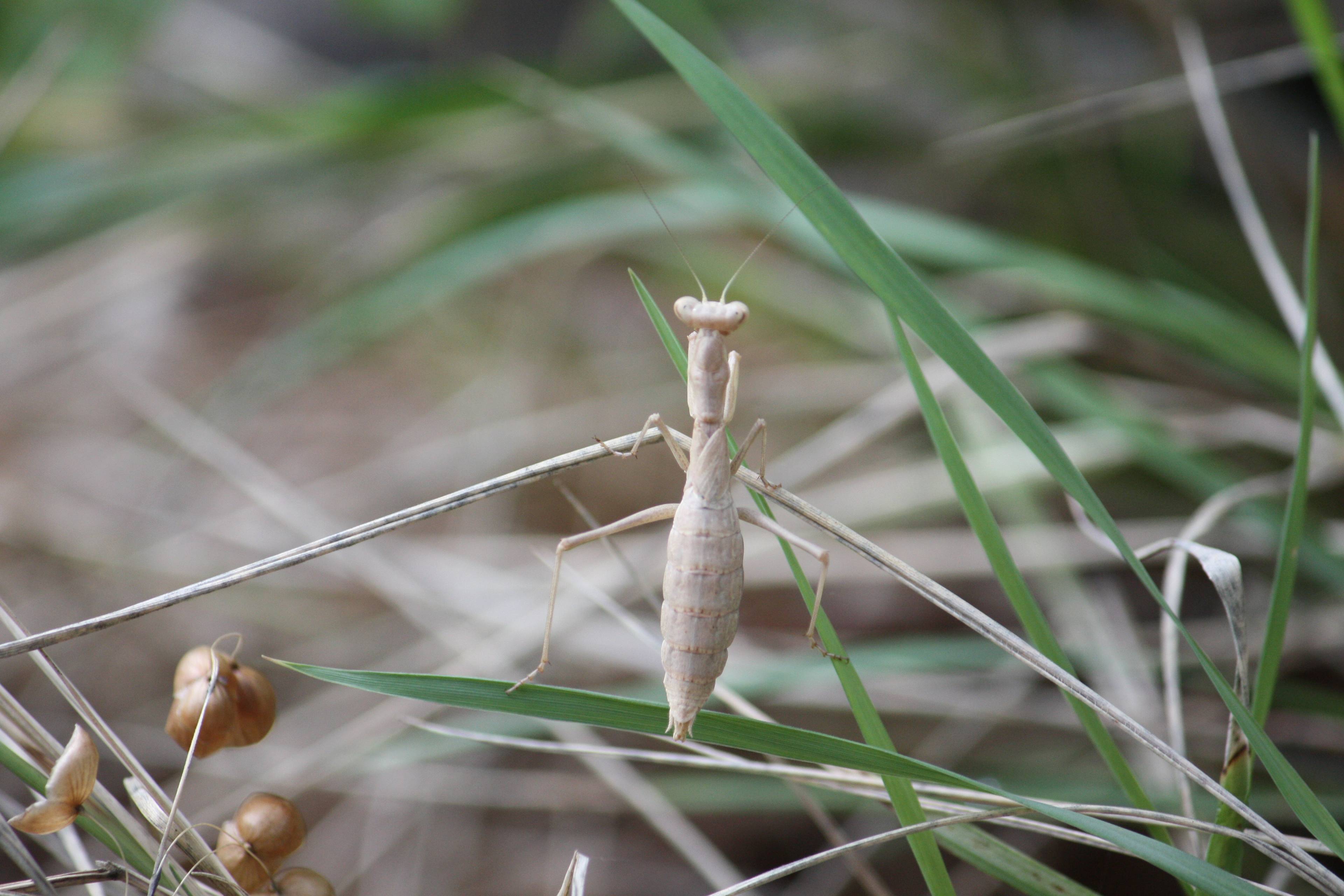 Faunareise Montenegro Impression 21