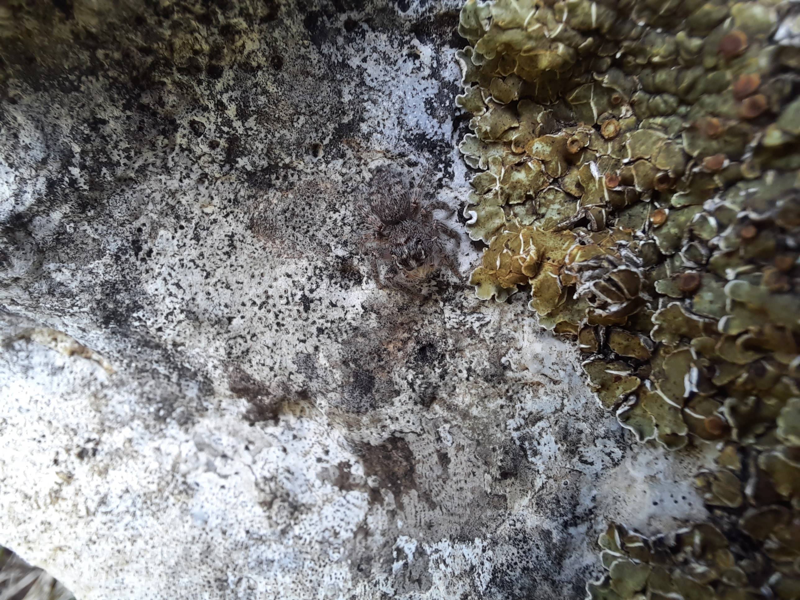 Faunareise Montenegro Impression 26