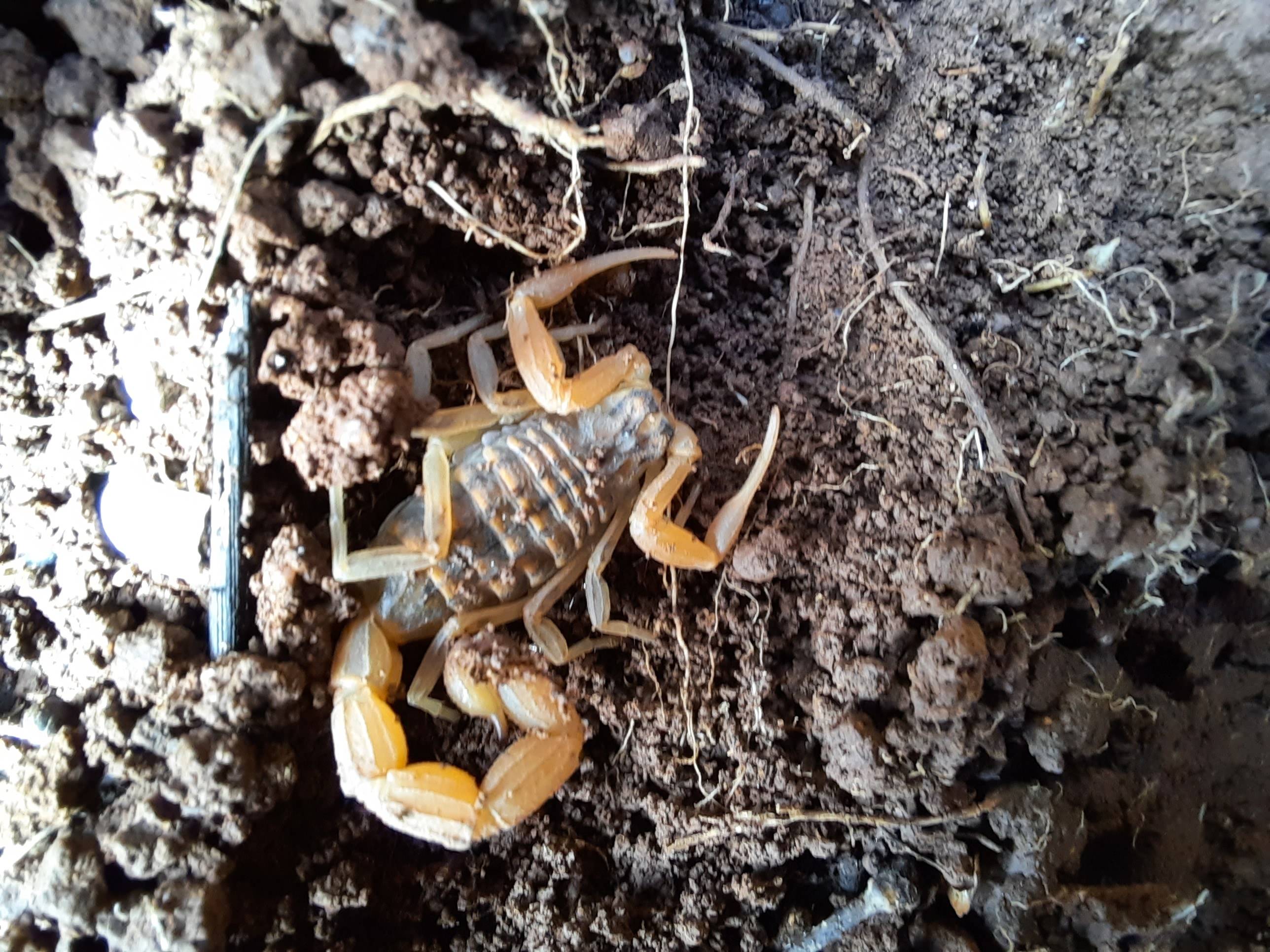 Faunareise Montenegro Impression 27