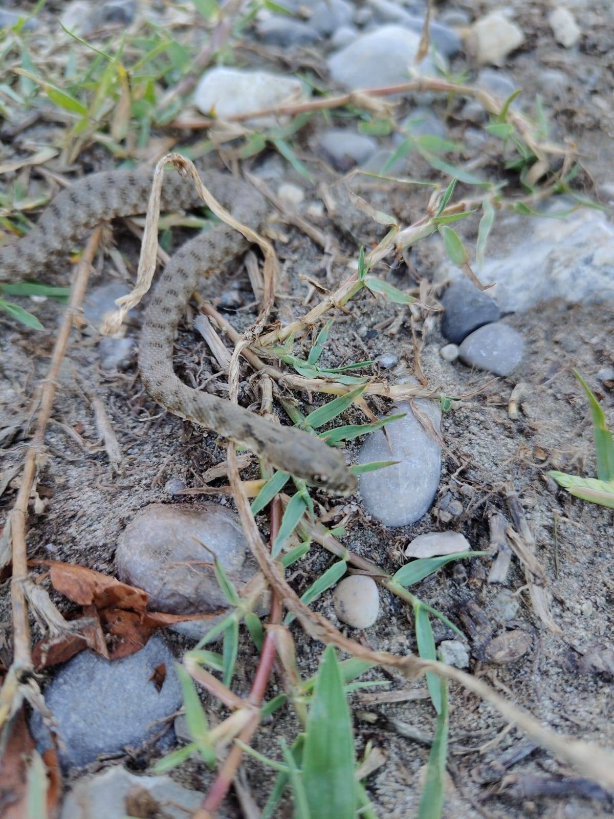 Faunareise Montenegro Impression 29