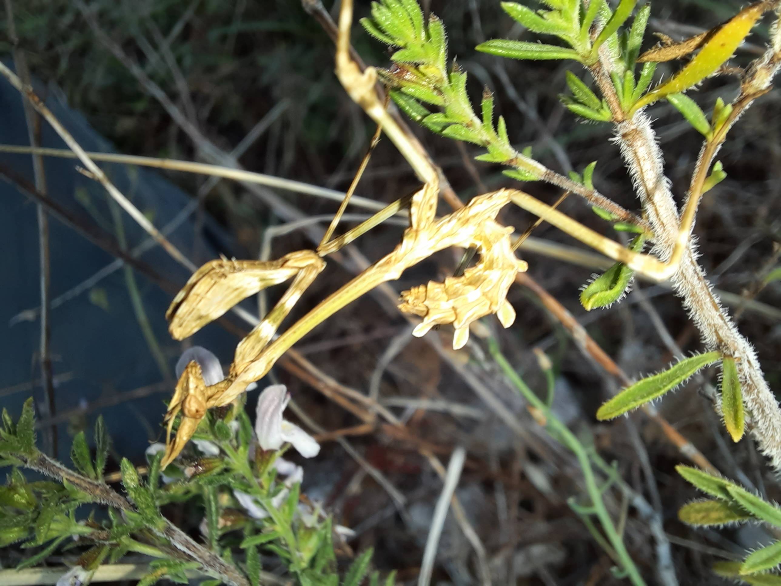 Faunareise Montenegro Impression 30