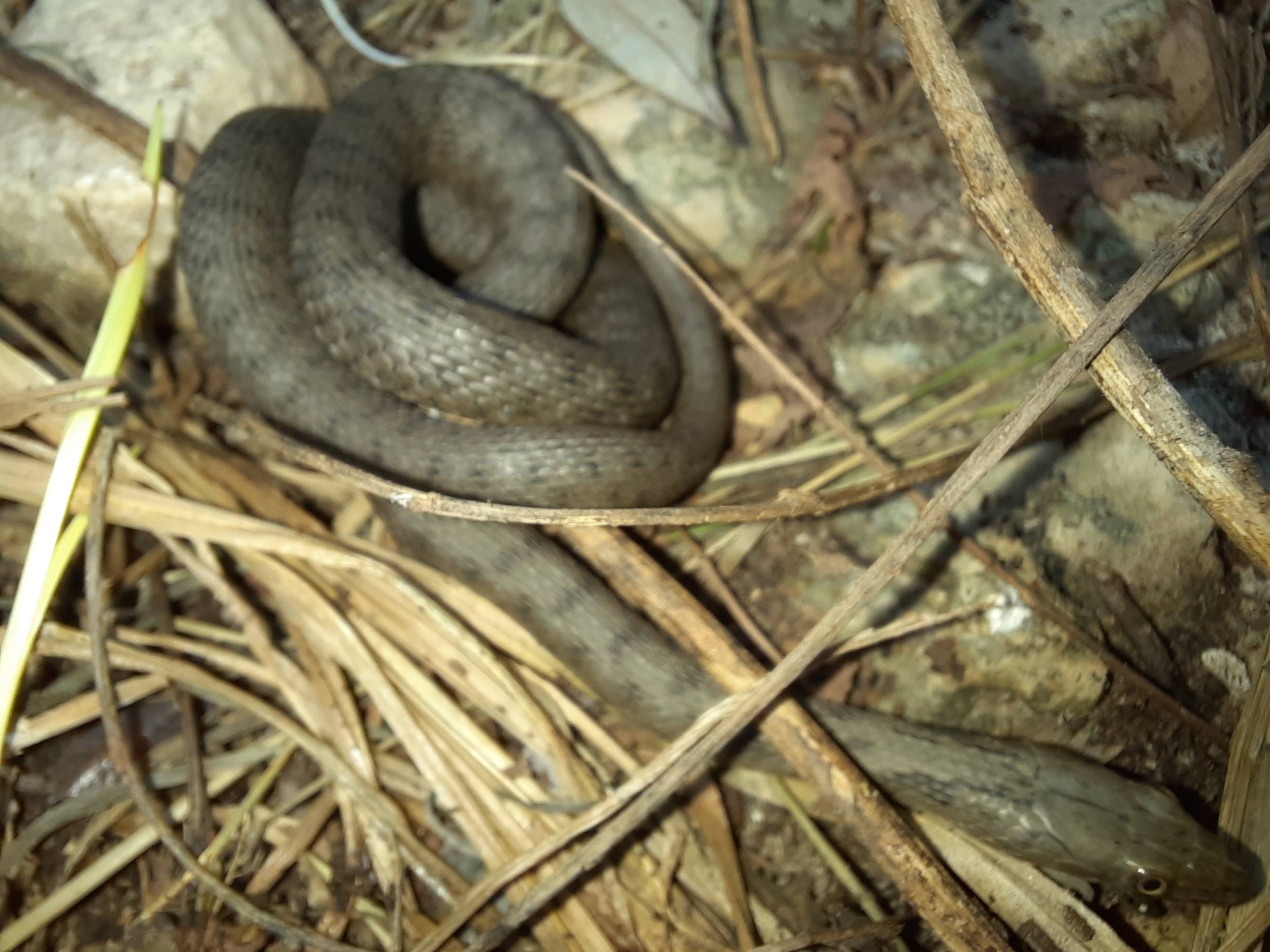 Faunareise Montenegro Impression 32