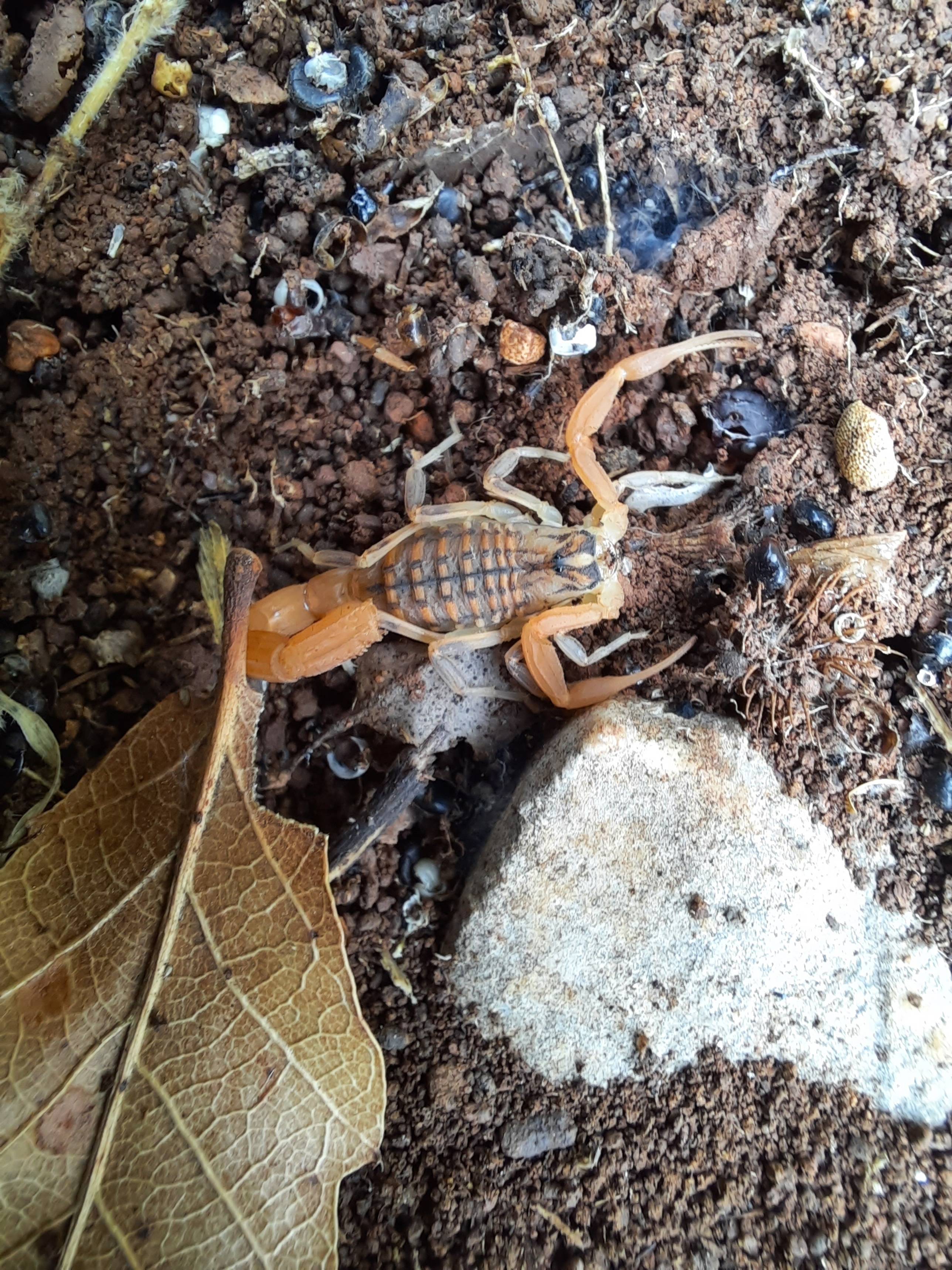 Faunareise Montenegro Impression 33