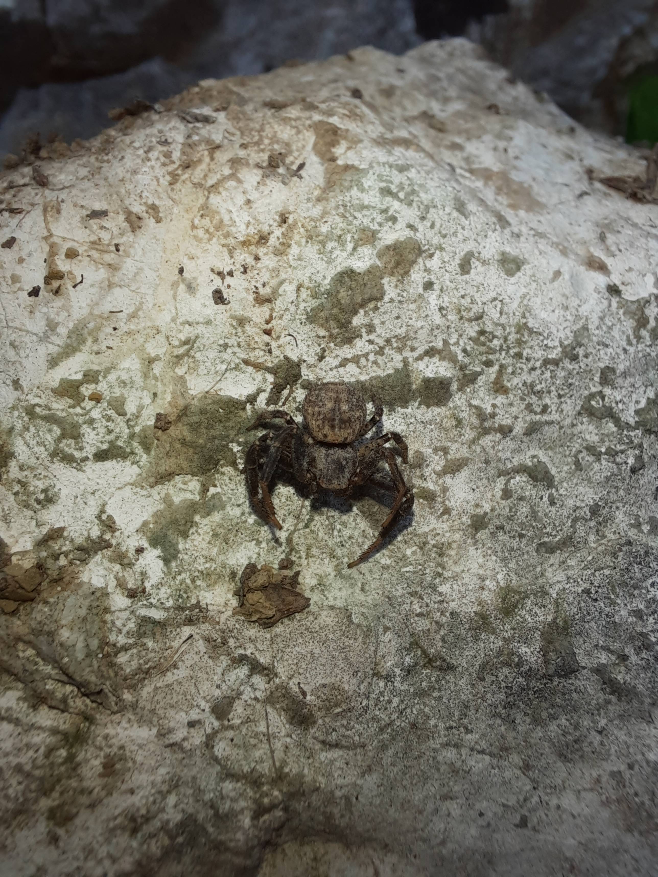 Faunareise Montenegro Impression 34