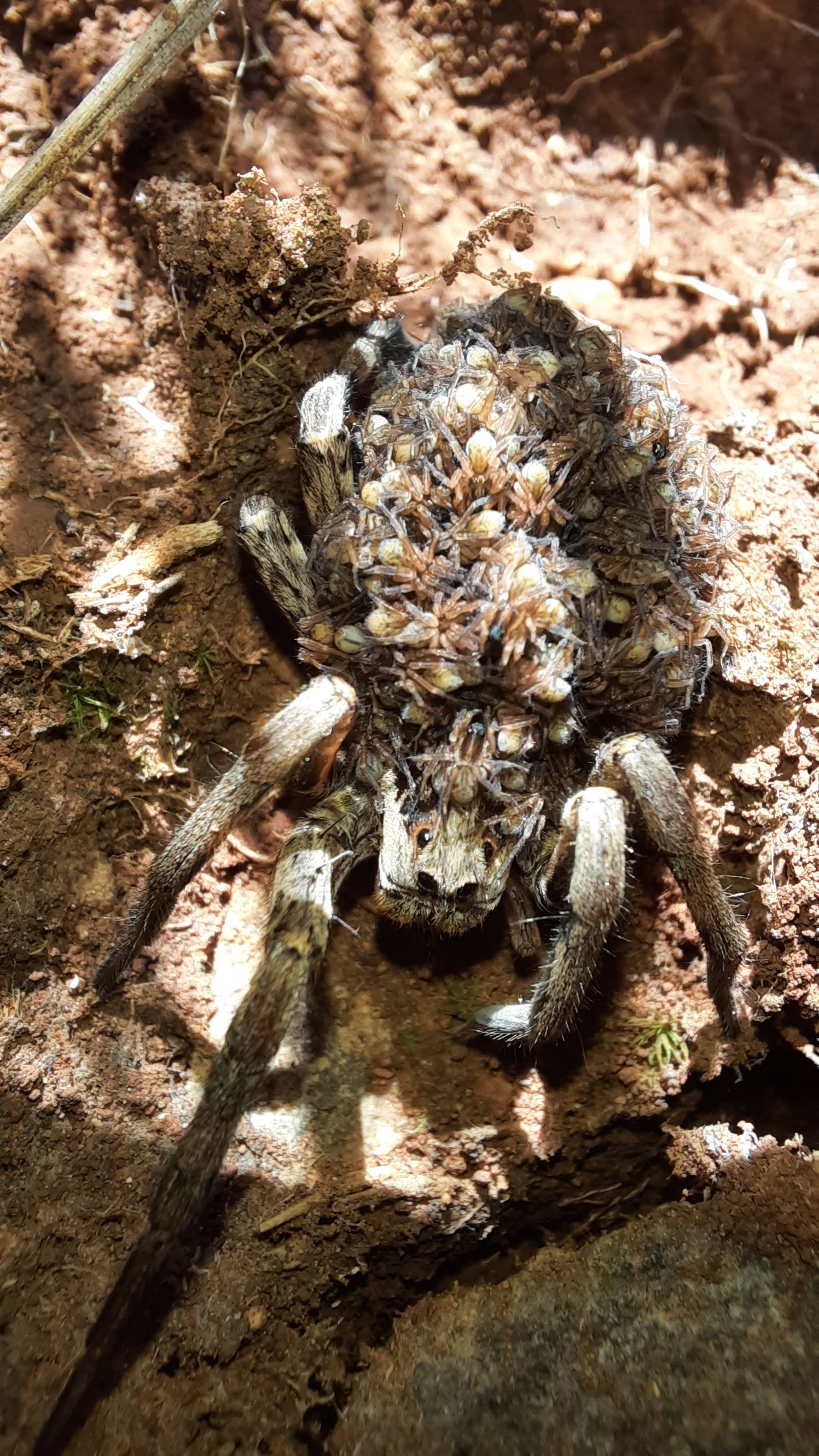 Faunareise Montenegro Impression 4