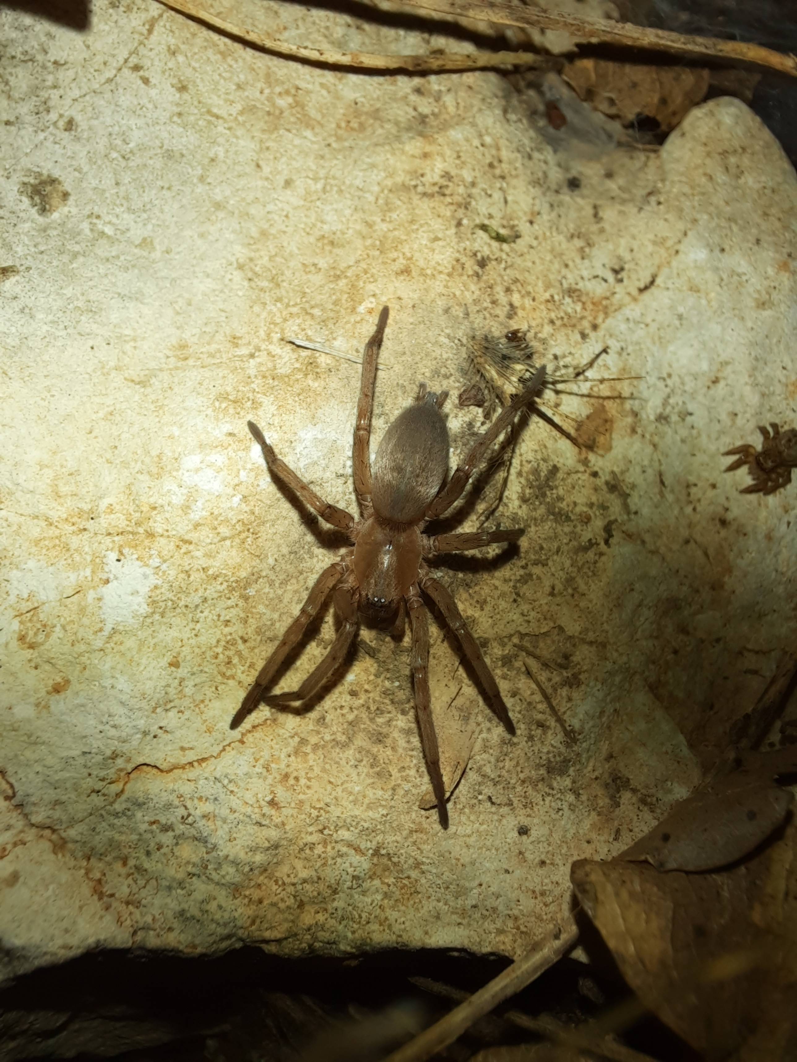 Faunareise Montenegro Impression 43