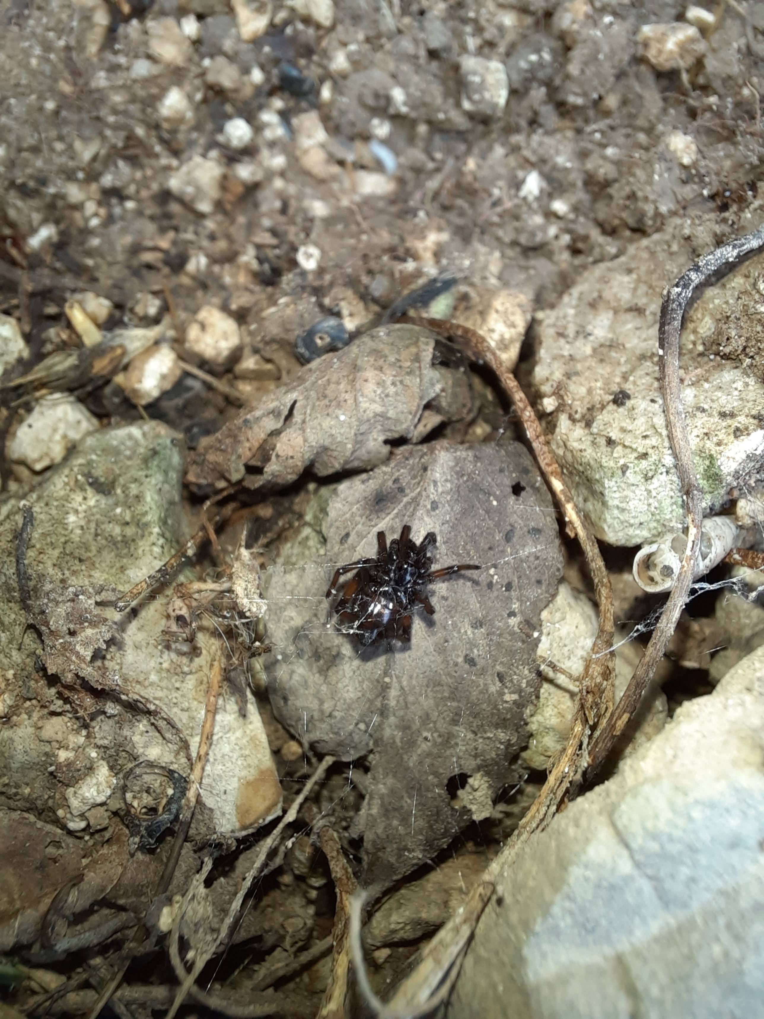 Faunareise Montenegro Impression 47