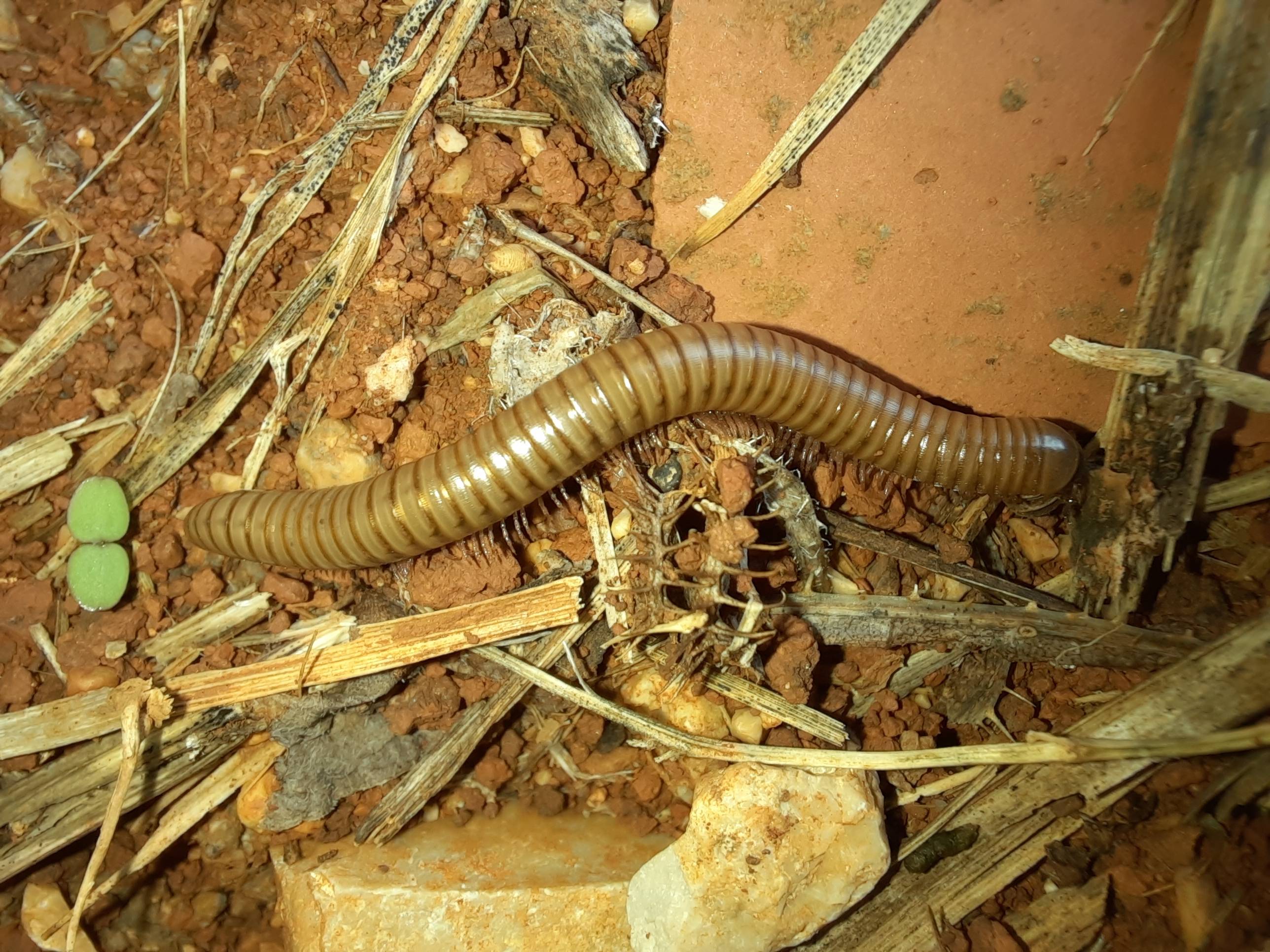 Faunareise Montenegro Impression 53