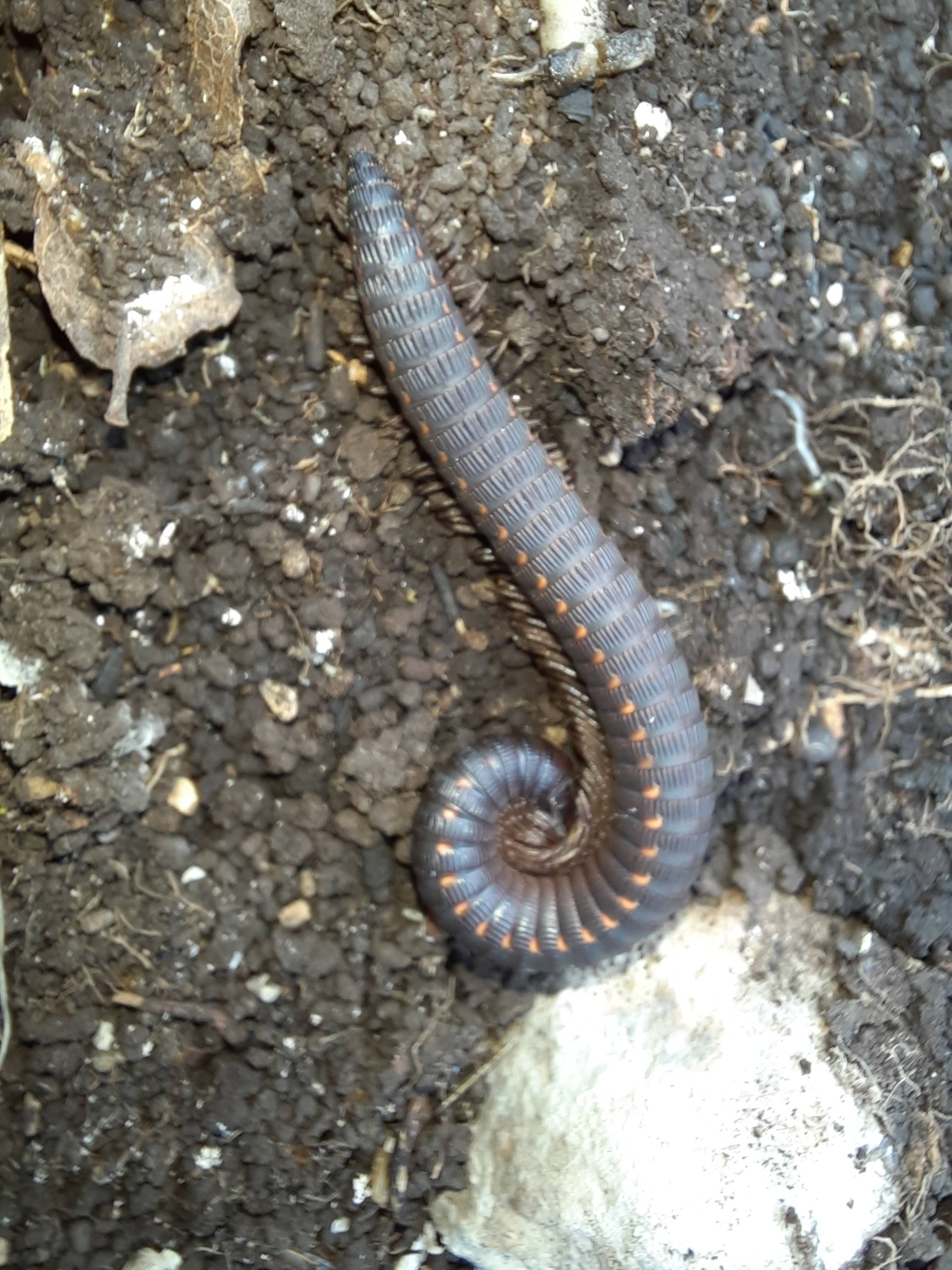 Faunareise Montenegro Impression 56