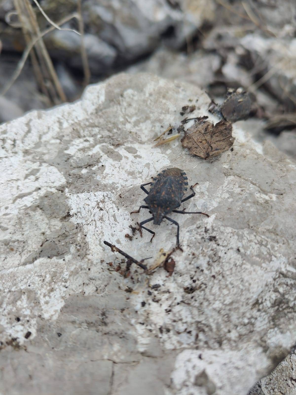 Faunareise Montenegro Impression 58