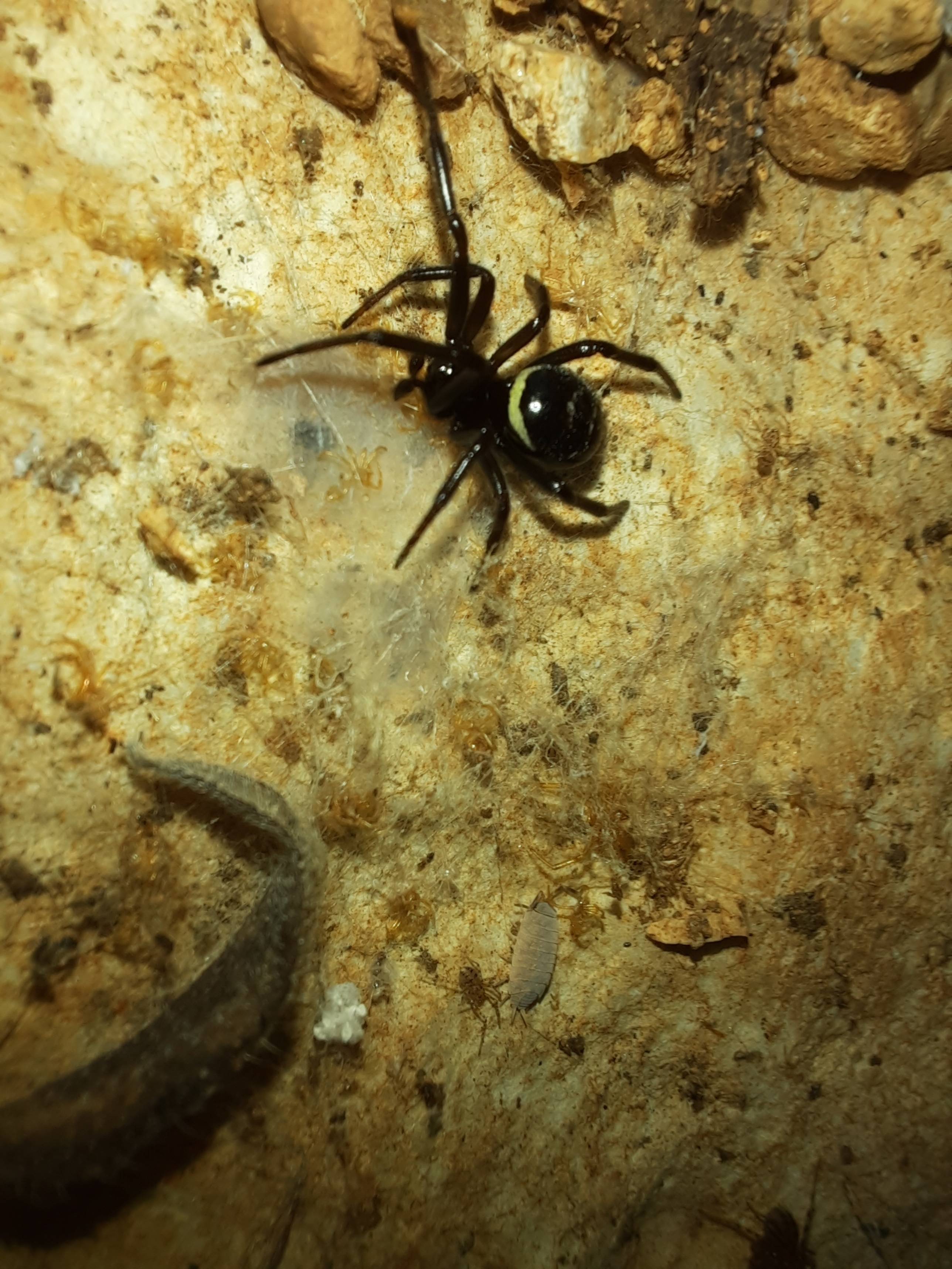 Faunareise Montenegro Impression 59