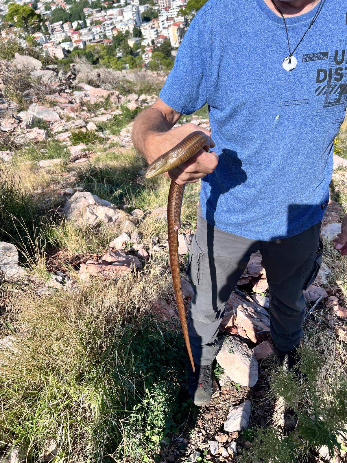 Faunareise Montenegro Impression 71