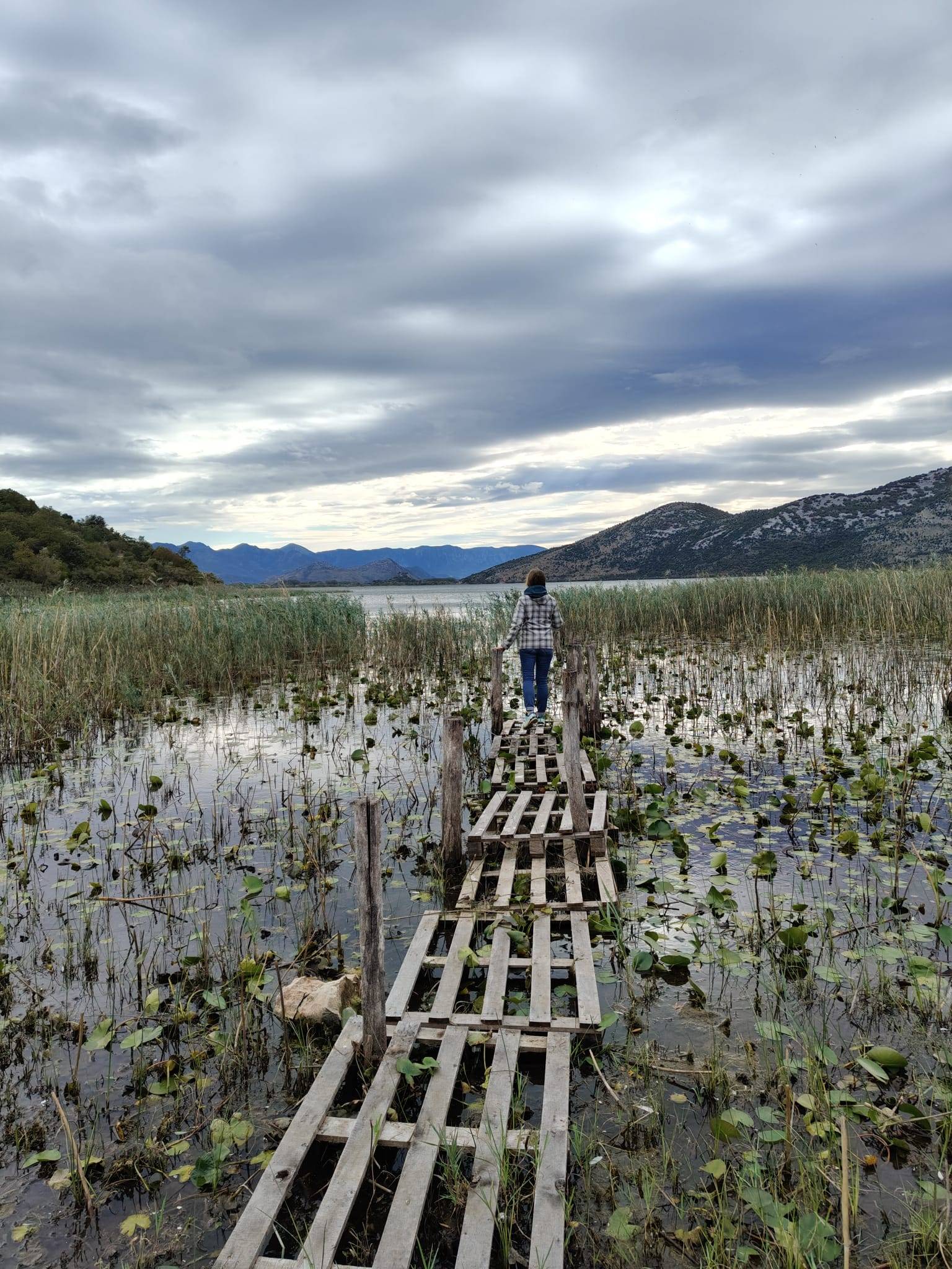 Faunareise Montenegro Impression 74