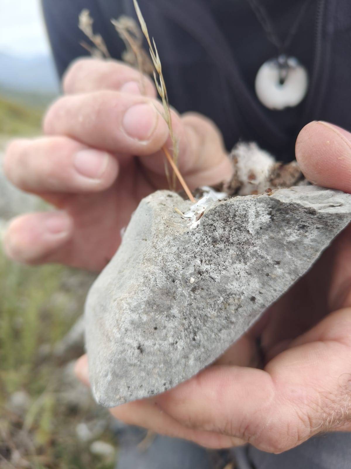 Faunareise Montenegro Impression 75