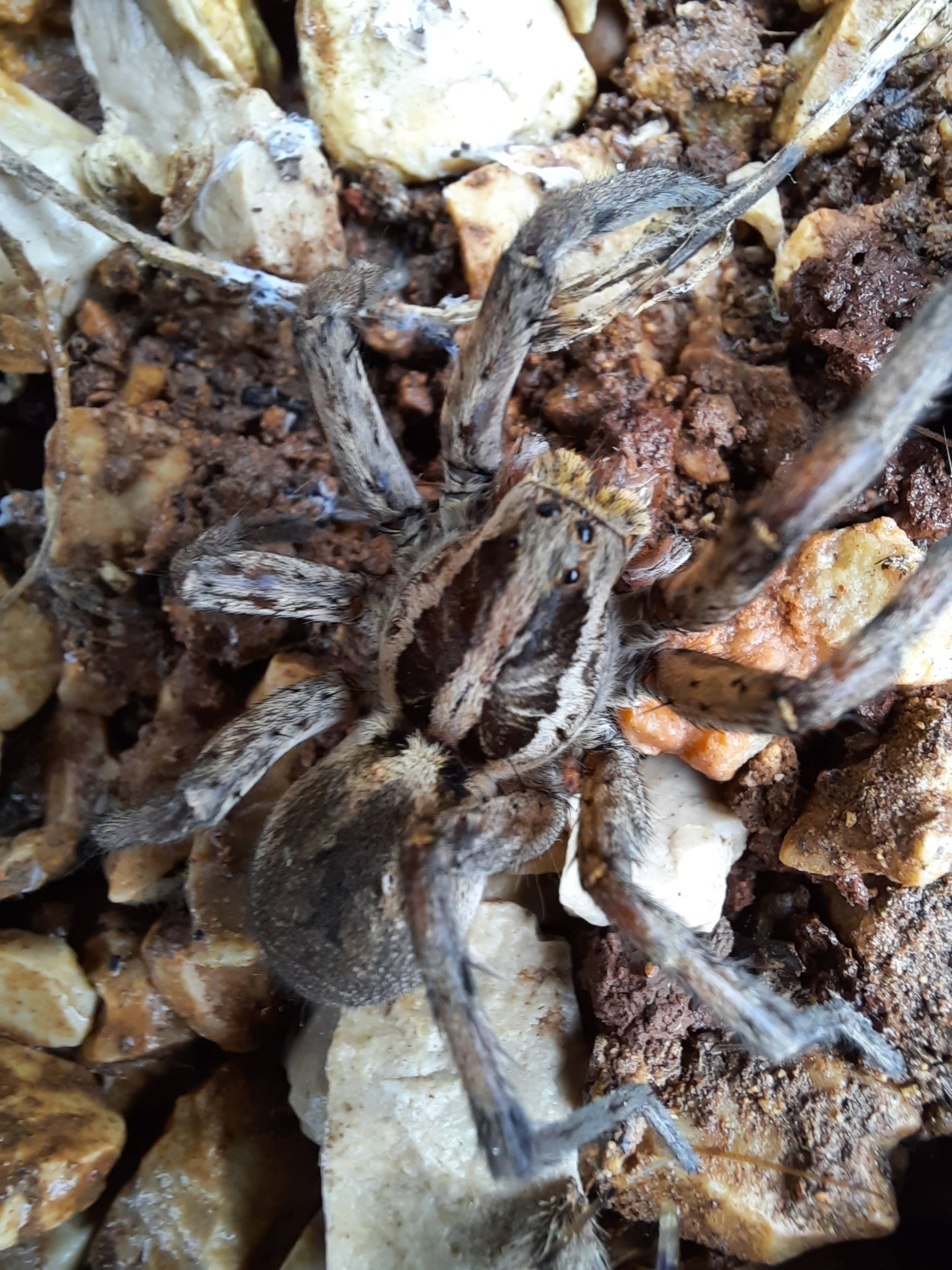 Faunareise Montenegro Impression 81