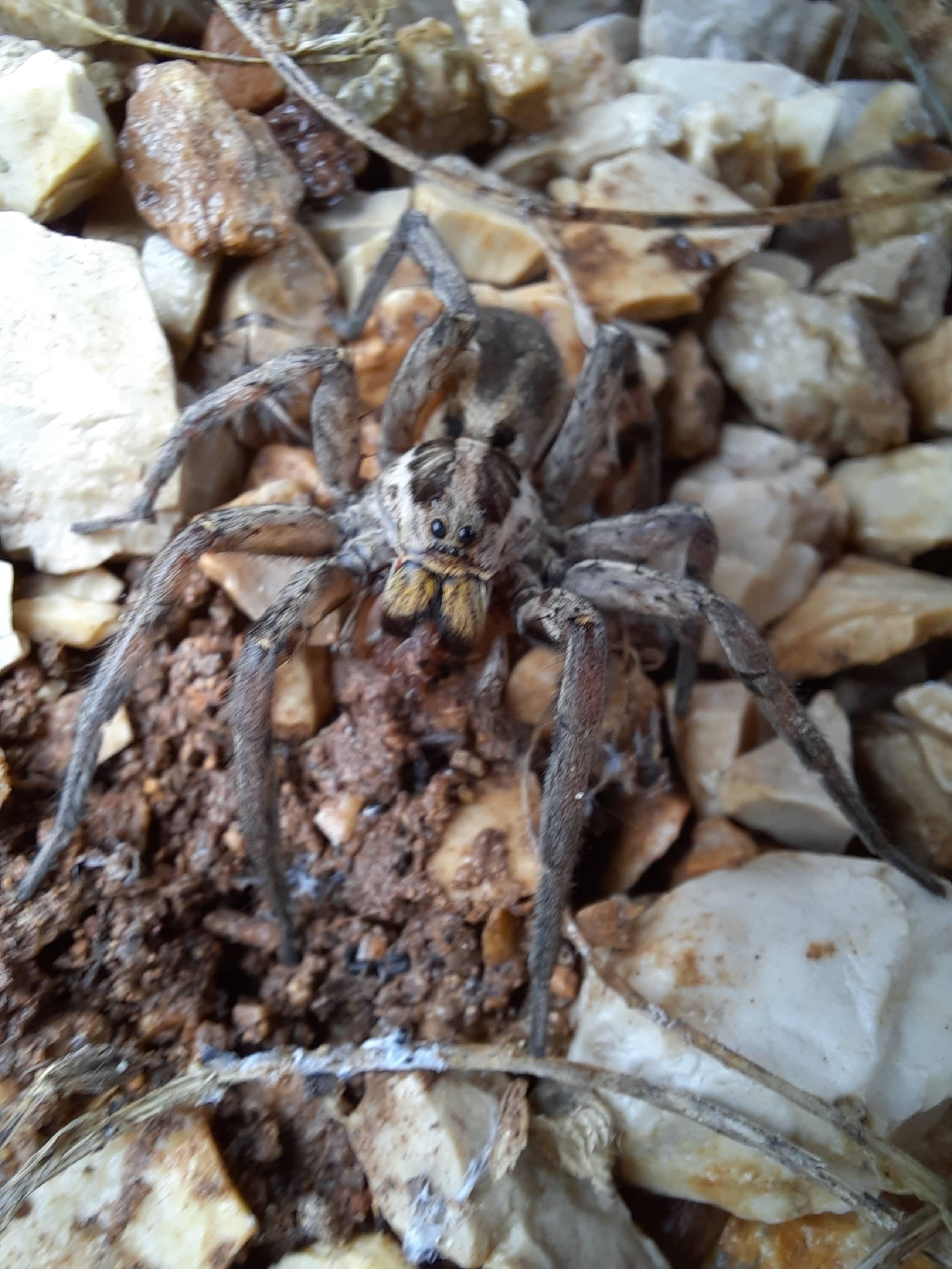 Faunareise Montenegro Impression 83