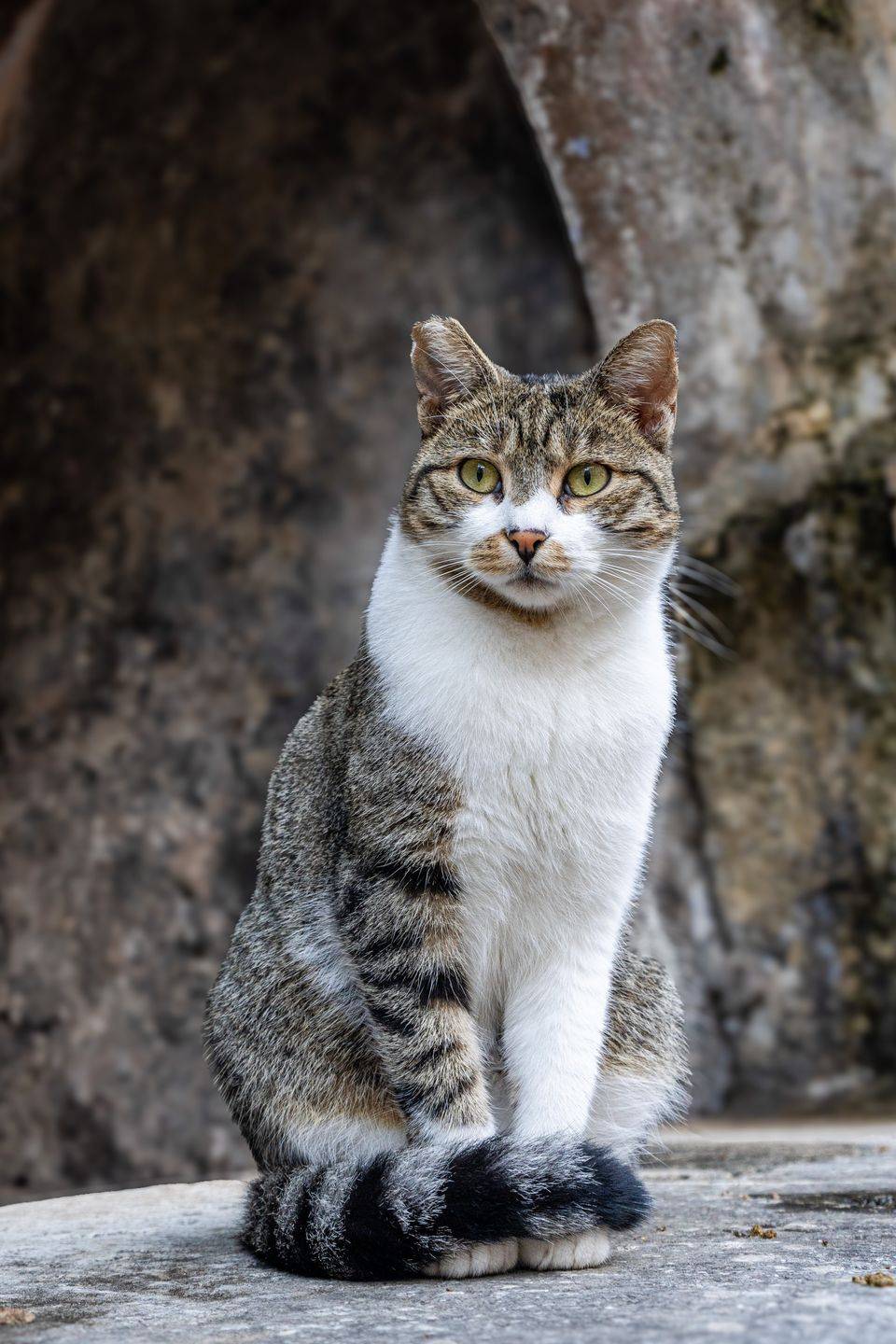 Fotoreise Montenegro Impression 38